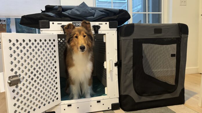 IMG_5547 Collapsible dog crates are a friend to sporting dogs and their traveling owners.