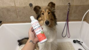 A more natural flea and tick shampoo is one of the available options for dogs.