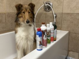 We tested five shampoos to find out which is the best flea and tick shampoo.