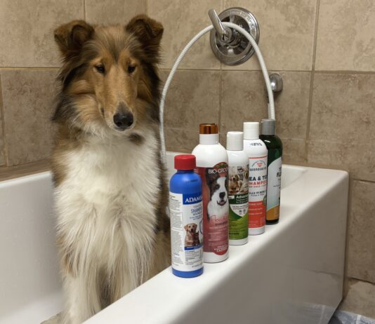We tested five shampoos to find out which is the best flea and tick shampoo.