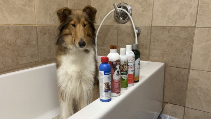 We tested five shampoos to find out which is the best flea and tick shampoo.