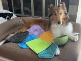 The Best Dog Lick Mats What are the best dog lick mats? We tested six of the most popular dog lick mats to find out.