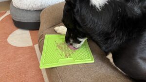 The LickiMat Classic Soother is 