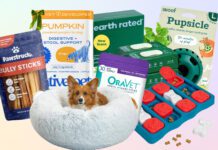 Dog black Friday deals offer you the chance to save on the dog gear you use every day.