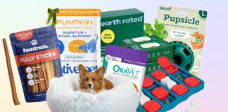 Dog black Friday deals offer you the chance to save on the dog gear you use every day.