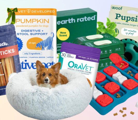The Best Black Friday Deals for Dogs 2025 Dog black Friday deals offer you the chance to save on the dog gear you use every day.