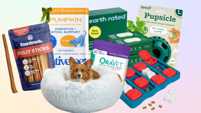 Dog black Friday deals offer you the chance to save on the dog gear you use every day.