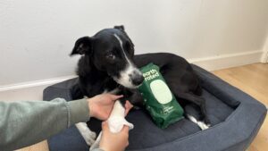 Pet wipes are a great dog grooming option, and there are savings to be had on black Friday.