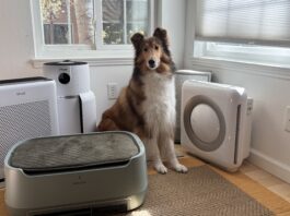 The Best Pet Air Purifiers Pet air purifiers can help with pet dander and dust in your home.