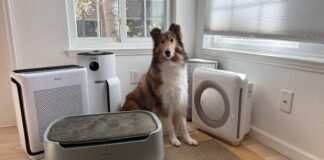 Pet air purifiers can help with pet dander and dust in your home.