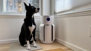 The Shark is an excellent choice for a pet air purifier due to its long lasting filter.