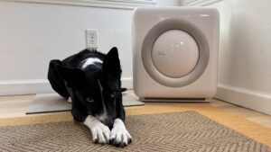 The Coway Airmega is a sturdy pet air purifier.