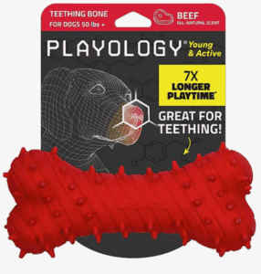 One of the best puppy teething toys overall is the playology scented chewbone.